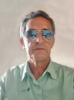 Domingos de Brito Neto